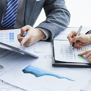 Audit Services